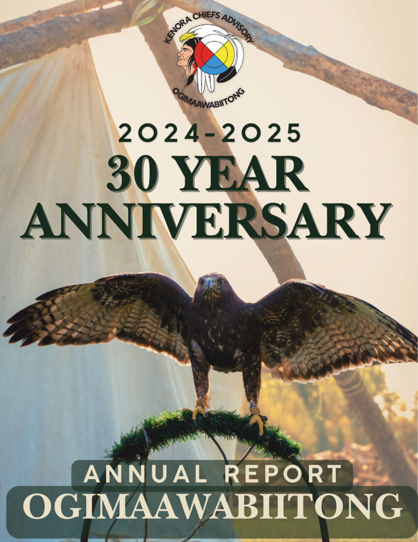 Read the KCA Annual Report